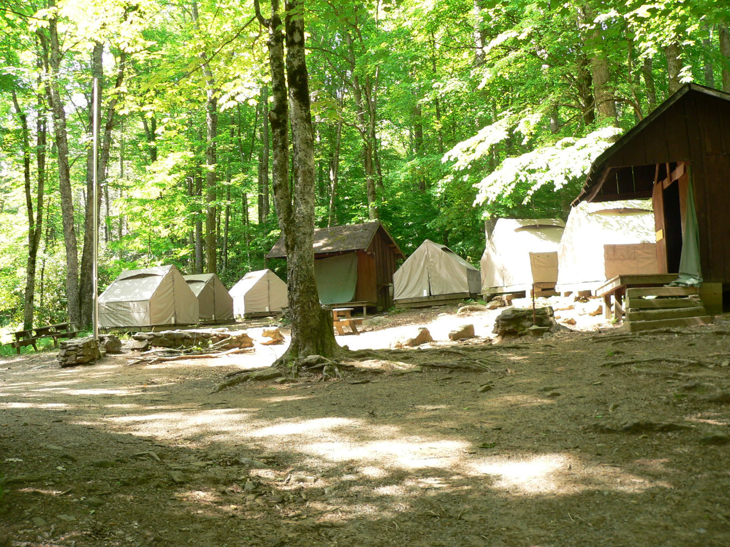 Mohican | Camp Daniel Boone at Daniel 