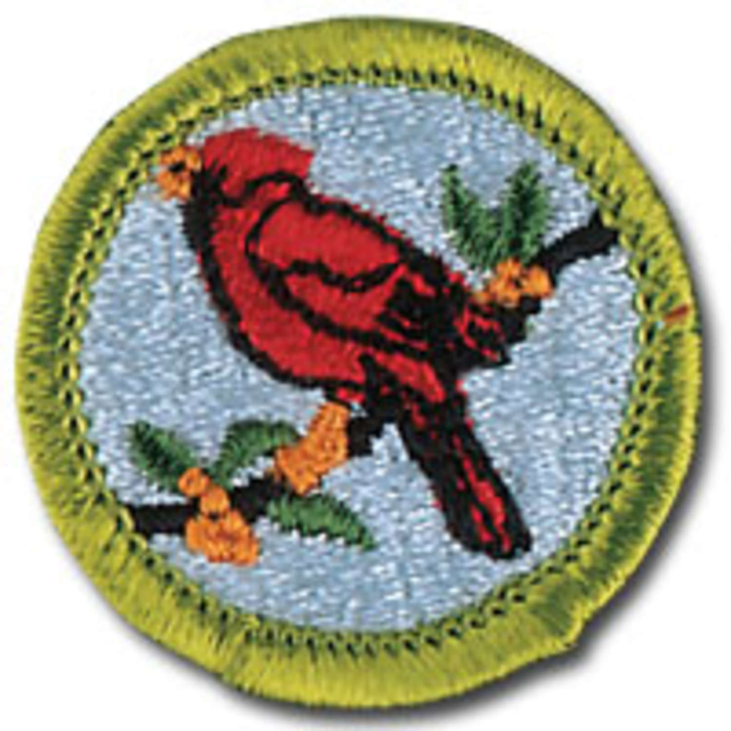Merit Badge Series Bird Study Suffolk County Council