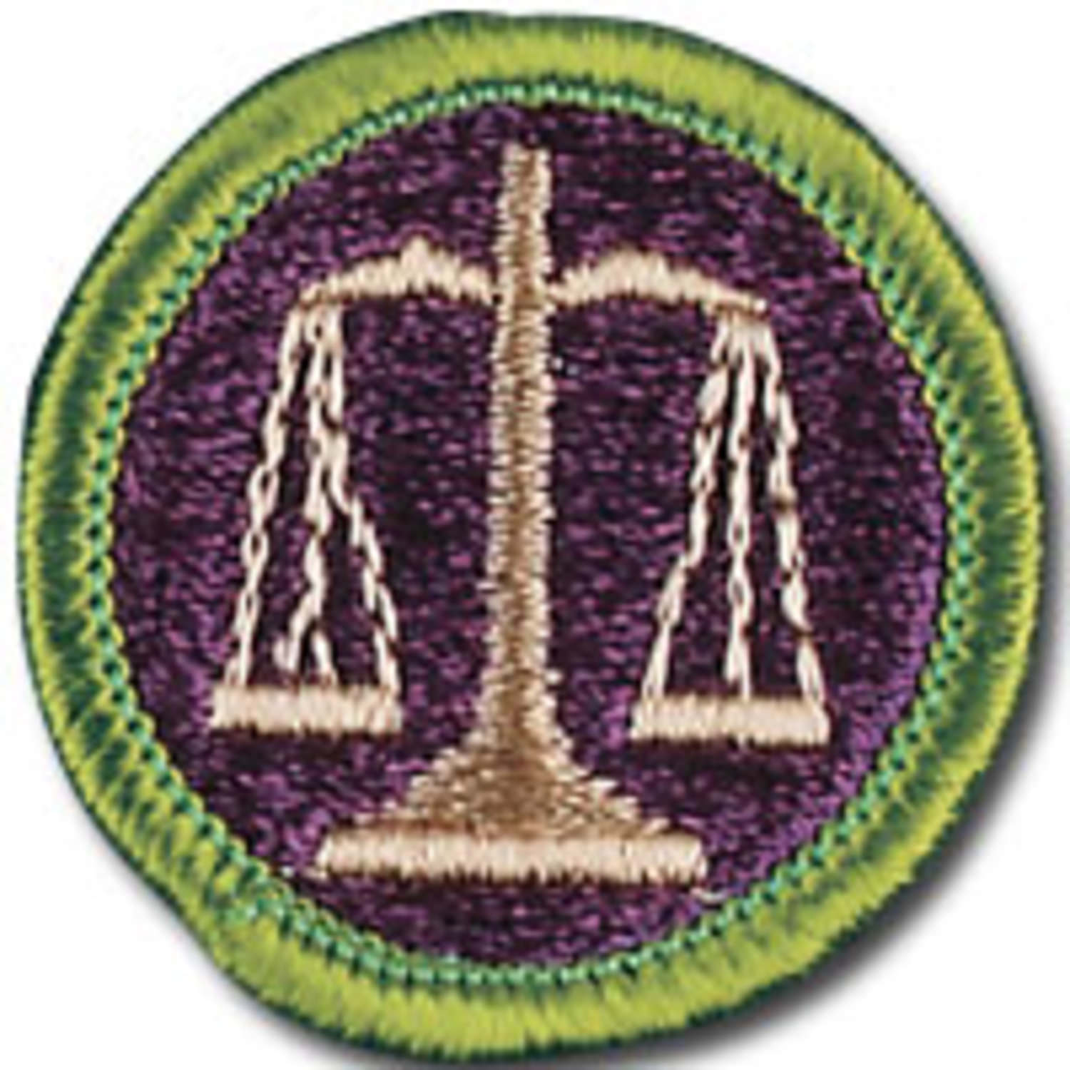 Merit Badge Program - Law | Suffolk County Council