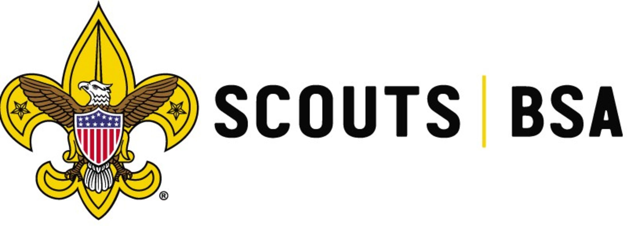 Scouts BSA fleur-de-lis with eagle