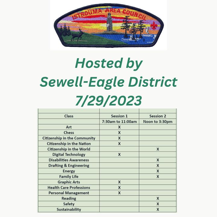 Chess Merit Badge Presentation