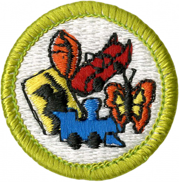 Collections Merit Badge (Virtual) | Chickasaw Council