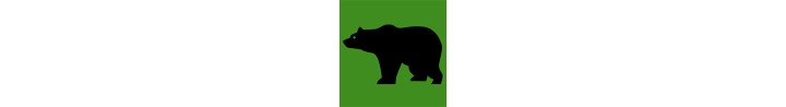 Guide to Bears