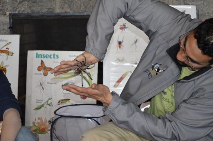 Insect Study Merit Badge | Suffolk County Council