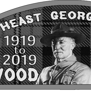Wood Badge Director 100th Anniversary Patch