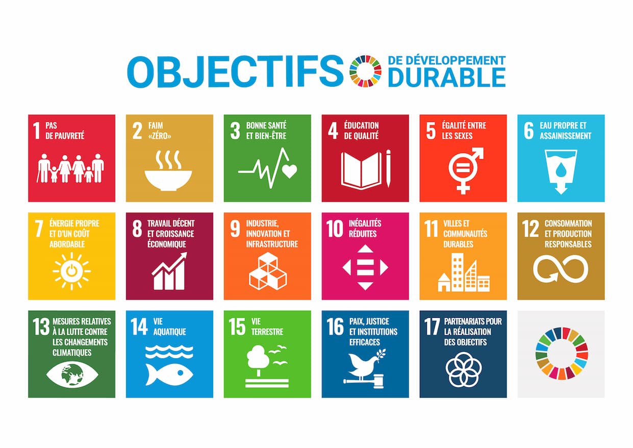 Objectifs de Développement Durable (ODD) de l'ONU