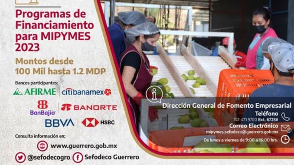 Sefodeco Guerrero te invitan a inscribirte a los programas de financiamiento, descubre los beneficios