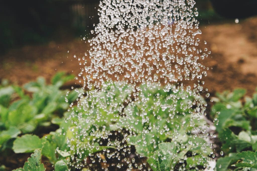 UNESCO, UNAM y empresas lanzan convocatoria dirigida a jóvenes para desarrollo de incubadora "Innodrop", aquí más detalles