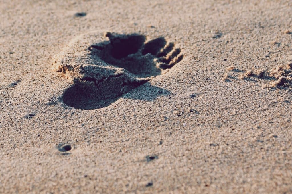 Aquí te decimos los pasos para la creación de tu empresa, ¡no pares de leer!