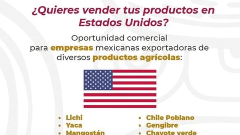 Sede Quintana Roo te invita a exportar tus productos agrícolas a Estados Unidos, entérate de los requisitos