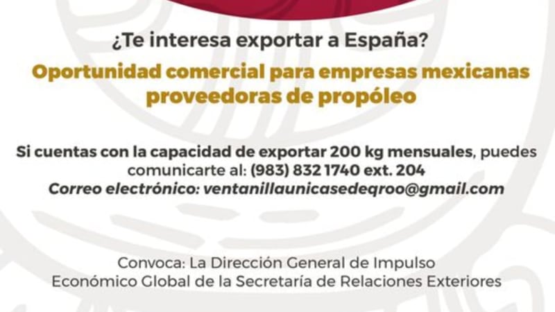 Oportunidad de Exportación: Invitación a Proveedores de Propóleos para Conquistar el Mercado Español desde la Sede Quintana Roo