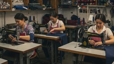 Imagen de Corte y confección en mexico