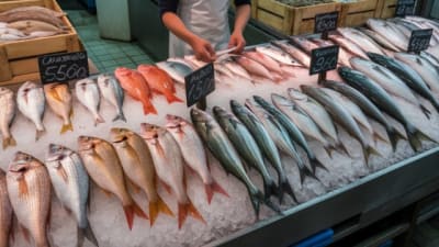 Preparación y envasado de pescados y mariscos