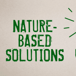 Global Climate Solutions Series: Nature-Based Solutions