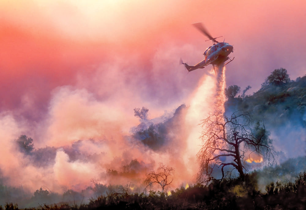The LA Fires: A Moment for Reflection and Action