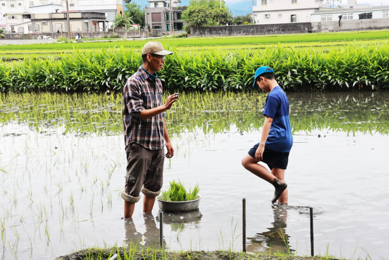  A Taiwanese farm village experiment to reconnect people with the land