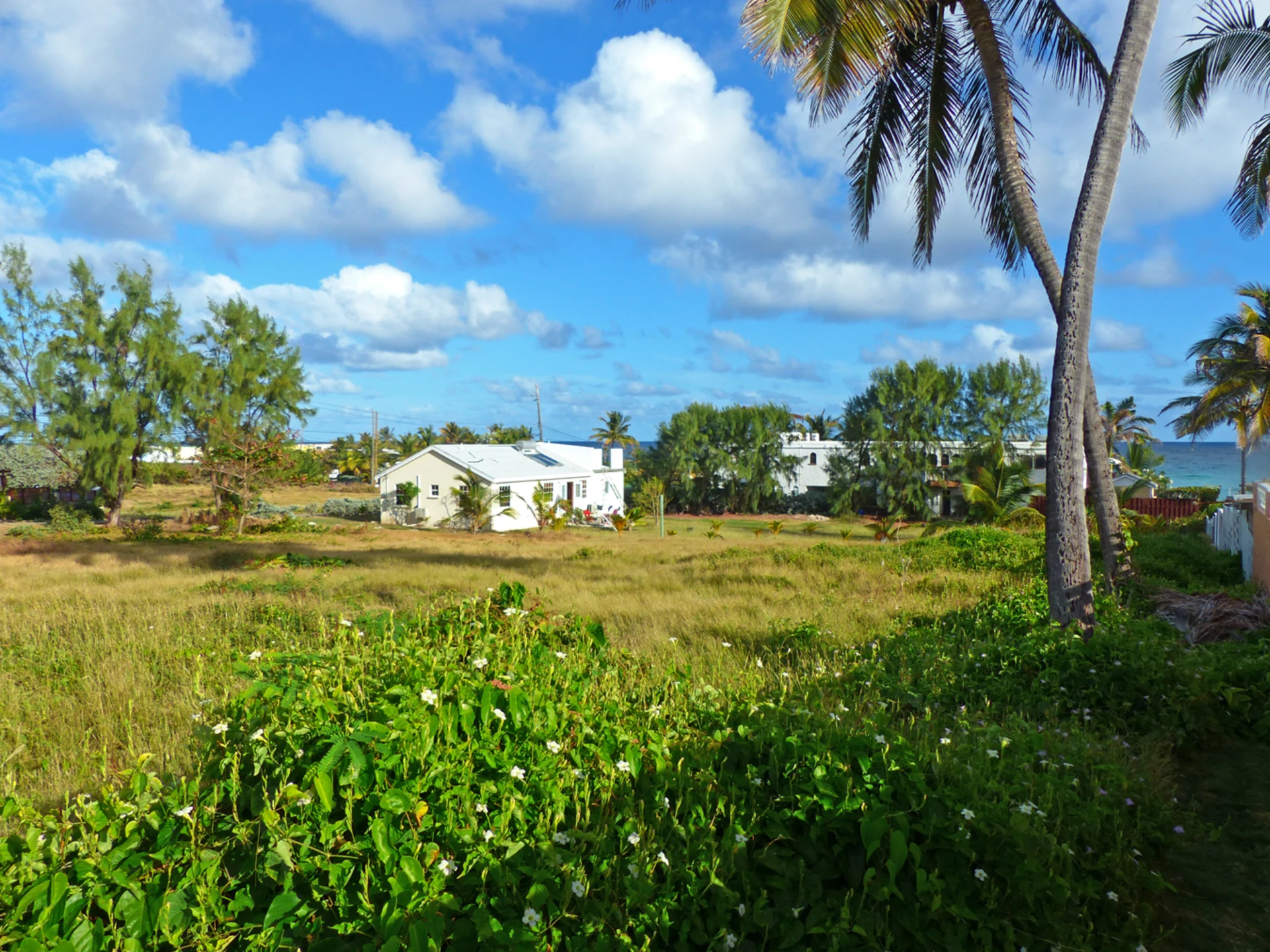 Inch Marlow Lot C1 • Land • Barbados Real Estate & Property For Sale