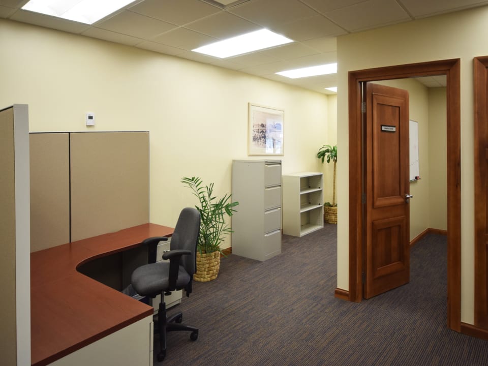 Private Offices and Open Plan Areas