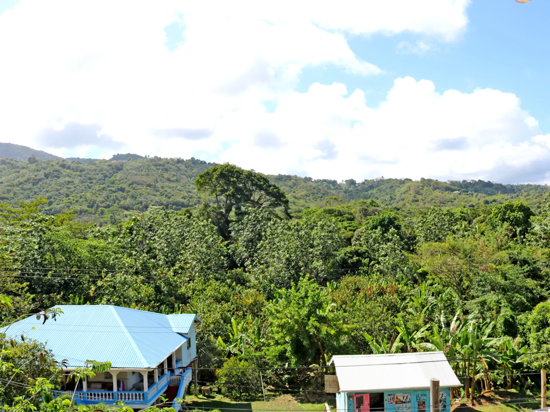 Hope Residence • House • Grenada Real Estate & Property For Sale and