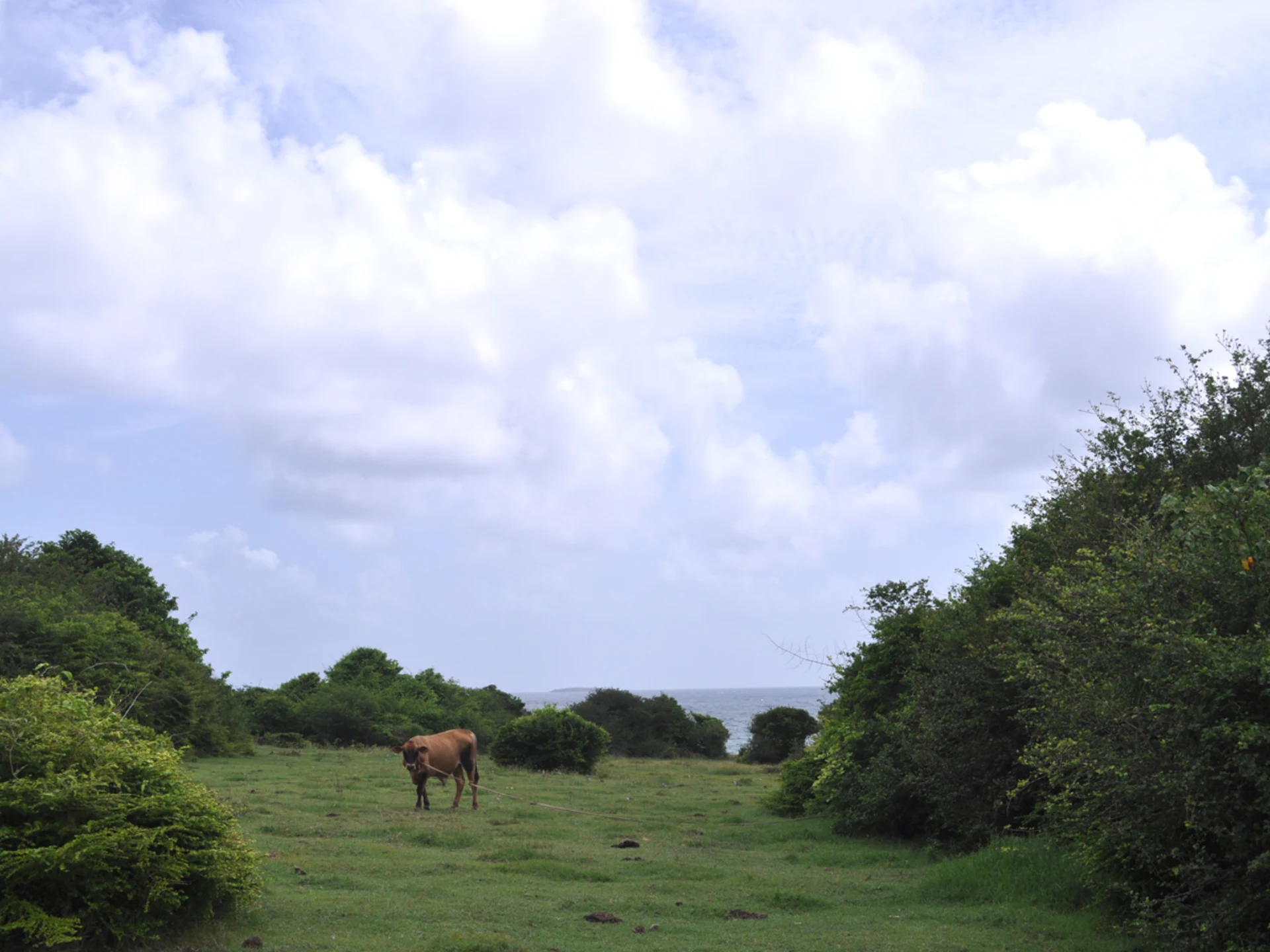 Chambord Estate No 43 • Land • Grenada Real Estate & Property For Sale and For Rent Terra