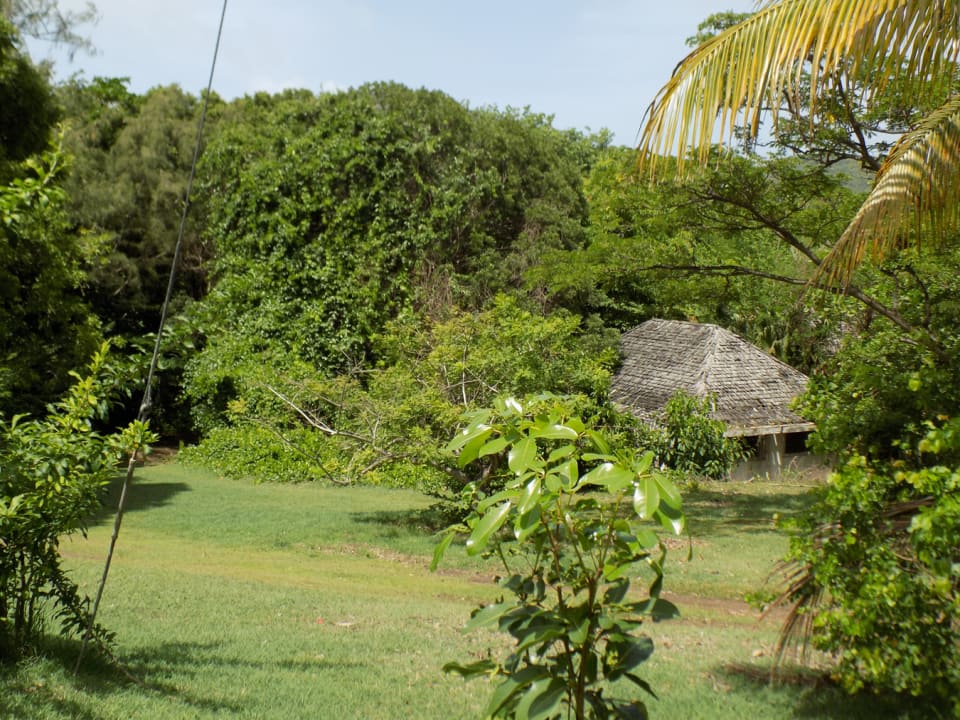 Cottage on Adjoining Lot