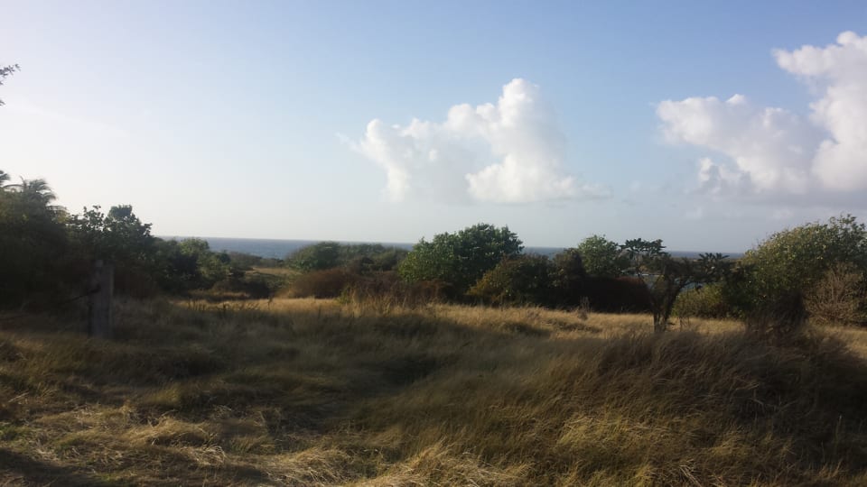 Distant Seaview from the Land