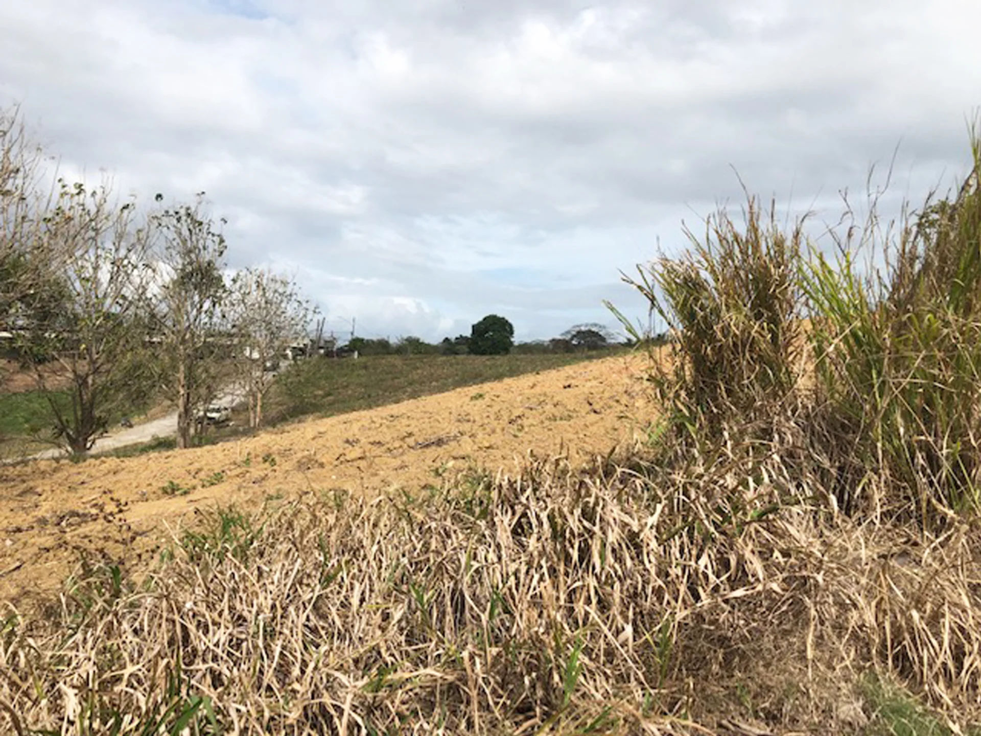 Las Lomas No. 1 • Land • Trinidad Real Estate & Property For Sale and