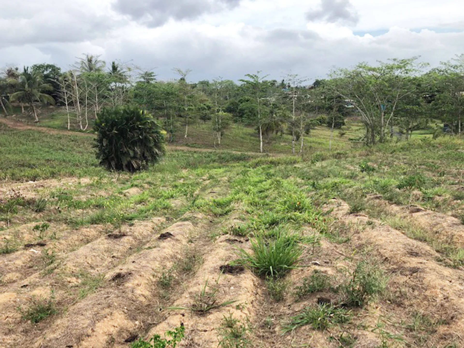 Las Lomas No. 1 • Land • Trinidad Real Estate & Property For Sale and