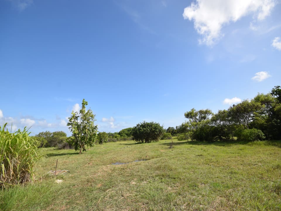 Farm Road • Land • Barbados Real Estate & Property For Sale and For
