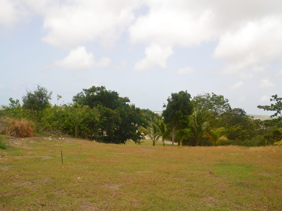 Rolling Hills No 62 • Land • Barbados Real Estate & Property For Sale and For Rent Terra