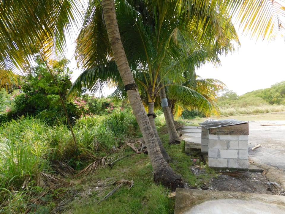 Balls Plantation Lot 1A • Land • Barbados Real Estate & Property For