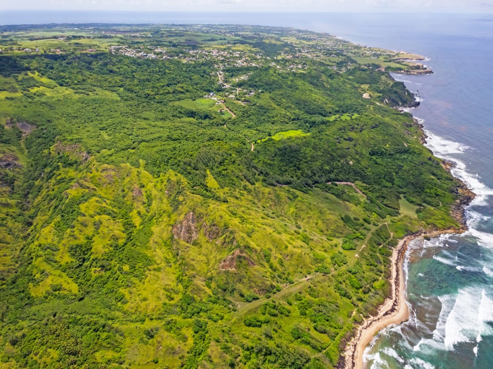 Boscobelle Plantation • Land • Barbados Real Estate & Property For Sale