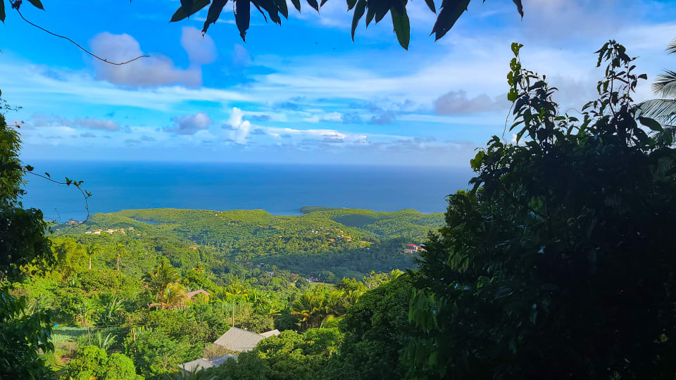 Ocean View from the land