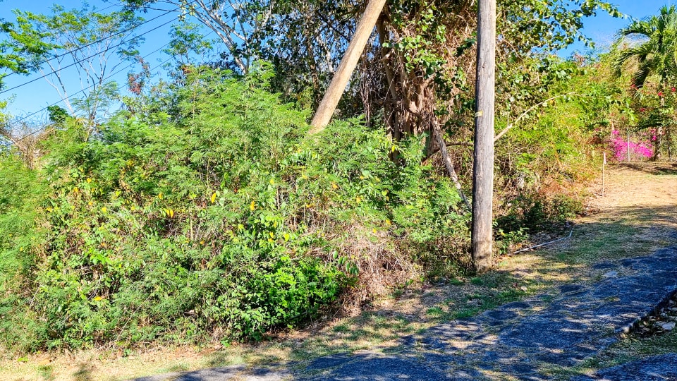 Lot No 4B Golf Course • Land • Grenada Real Estate & Property For Sale