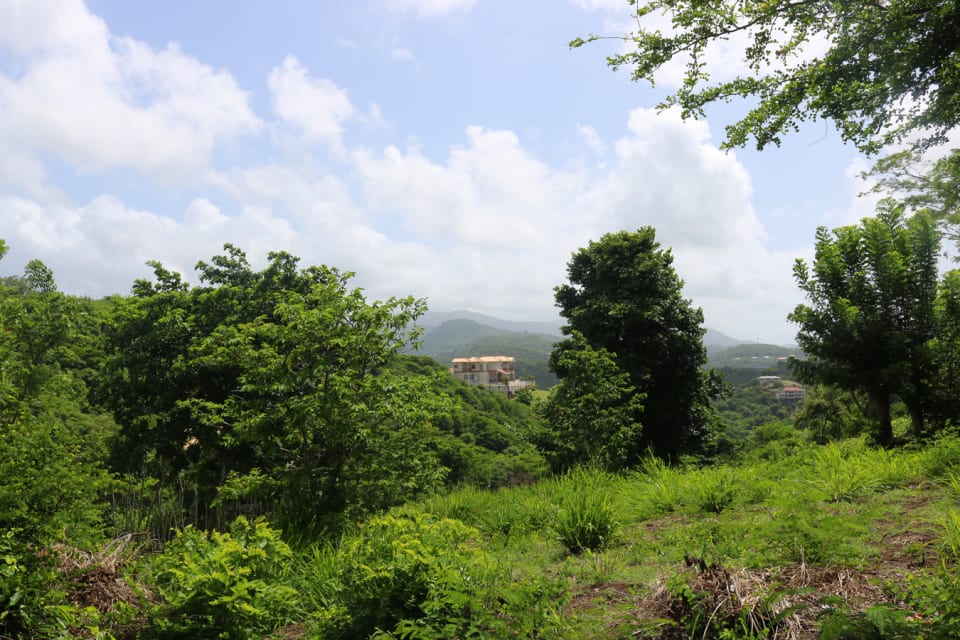 Island View Lot 3 • Land • Grenada Real Estate & Property For Sale and