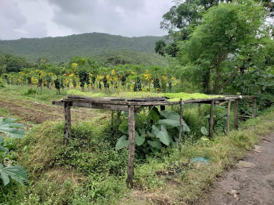 Marquis Estate, Agricultural Land • Land • St. Lucia Real Estate