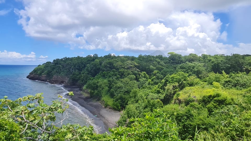 Panoramic View overlooking the Beach