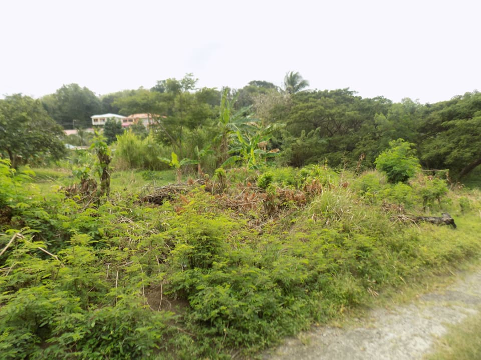 Marisule Beach Land • Land • St. Lucia Real Estate & Property For Sale