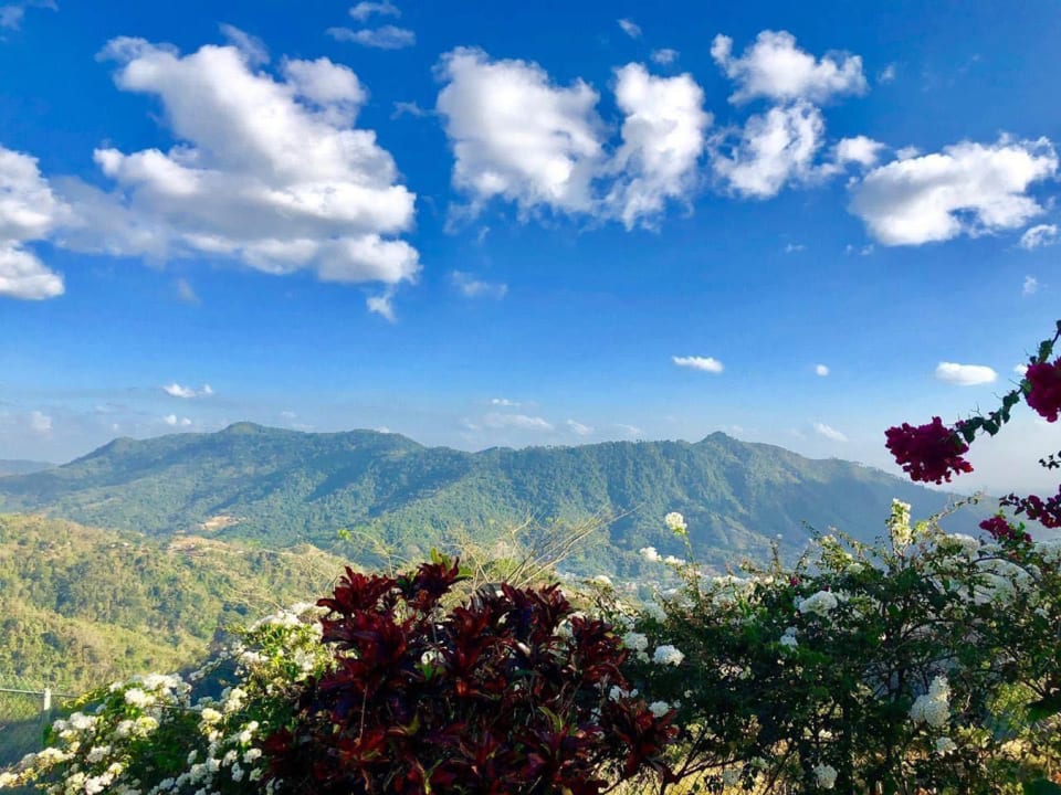 Jan Road Paramin • House • Trinidad Real Estate & Property For Sale and For Rent Terra