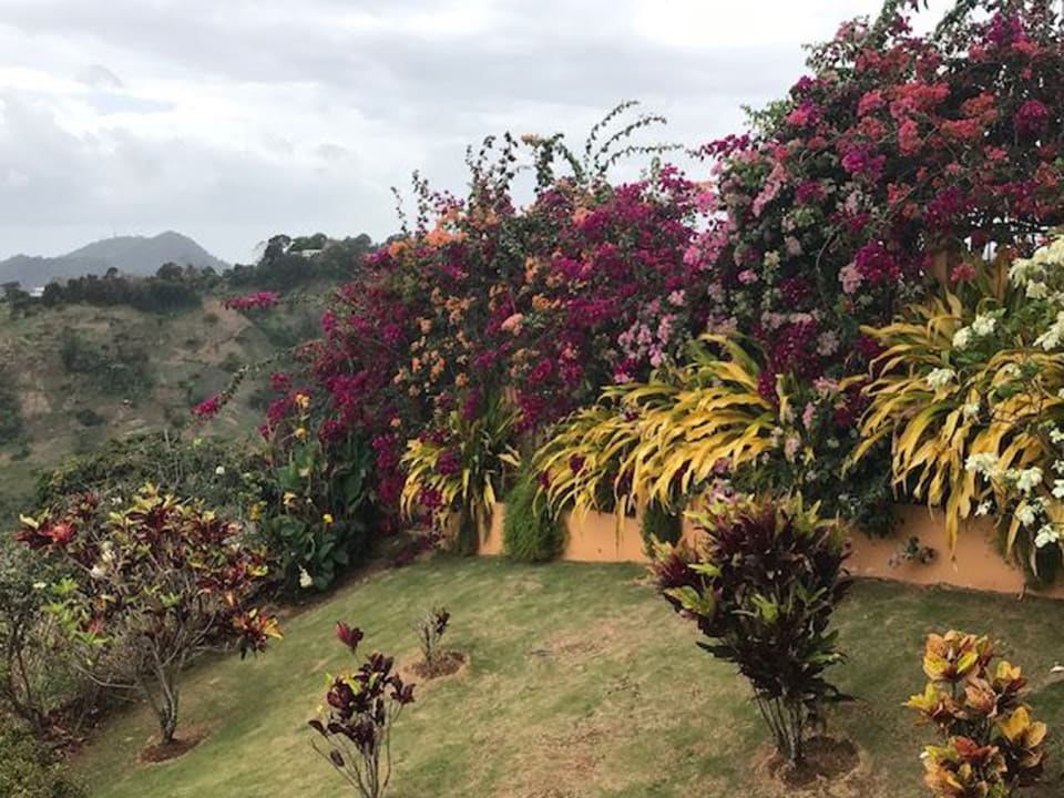 Jan Road Paramin • House • Trinidad Real Estate & Property For Sale and For Rent Terra