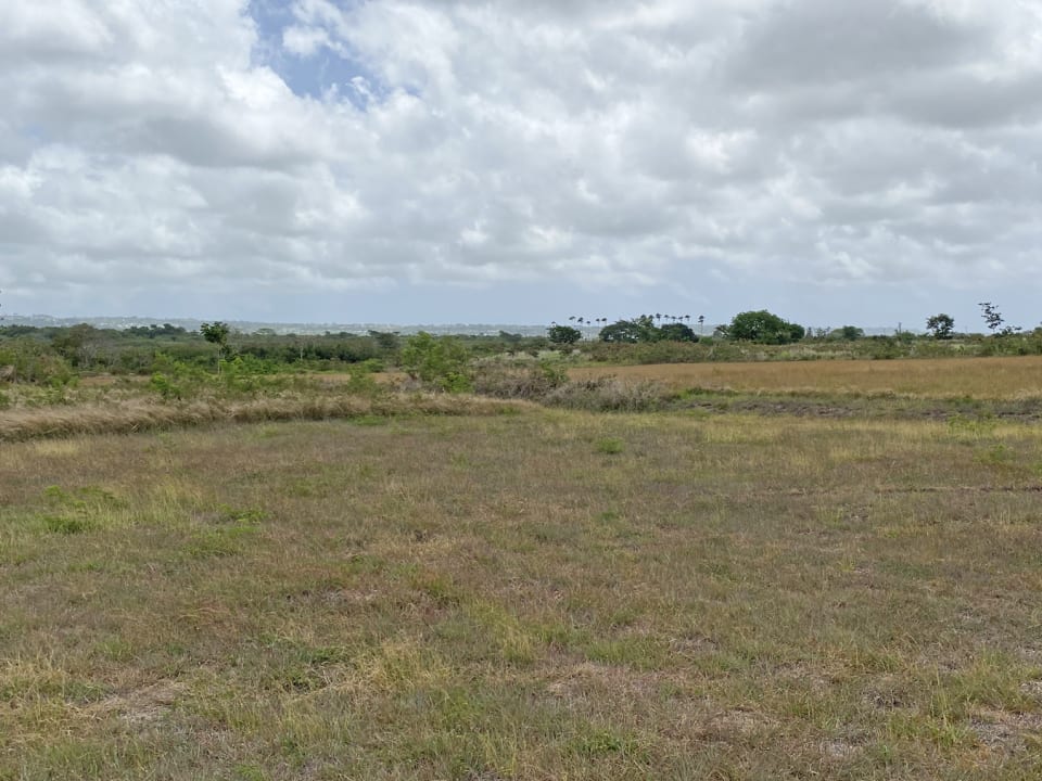 Land for sale in The Grove Development