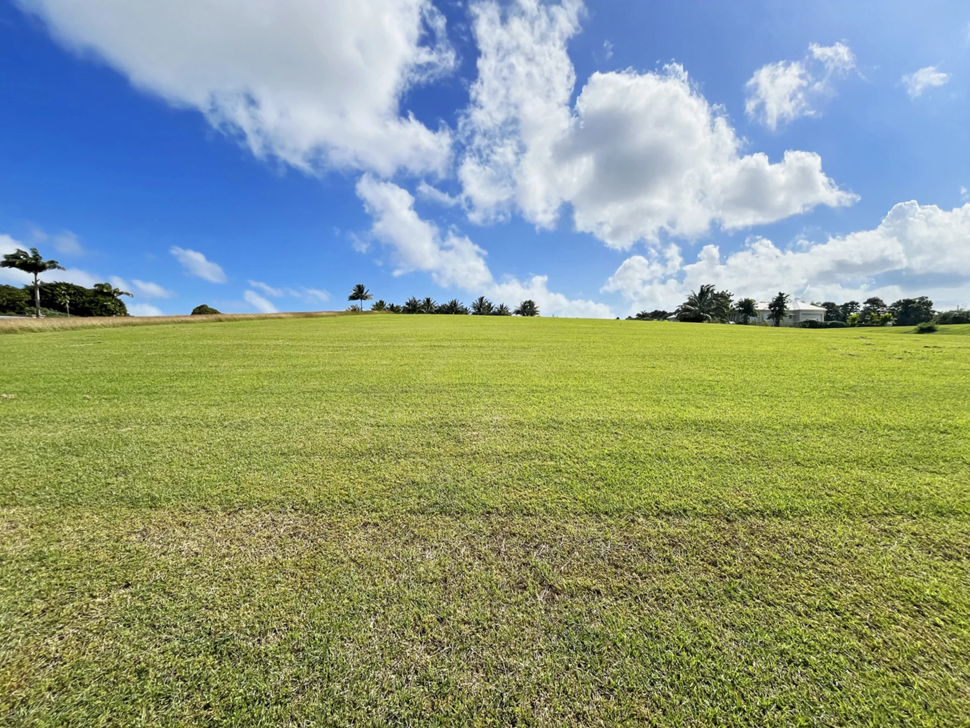 Welcome to Waterhall Polo Field Lot 37