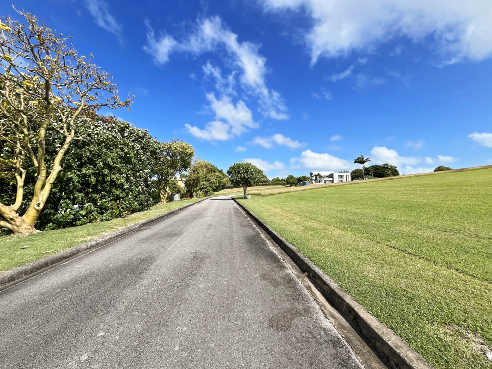 Streetscape
