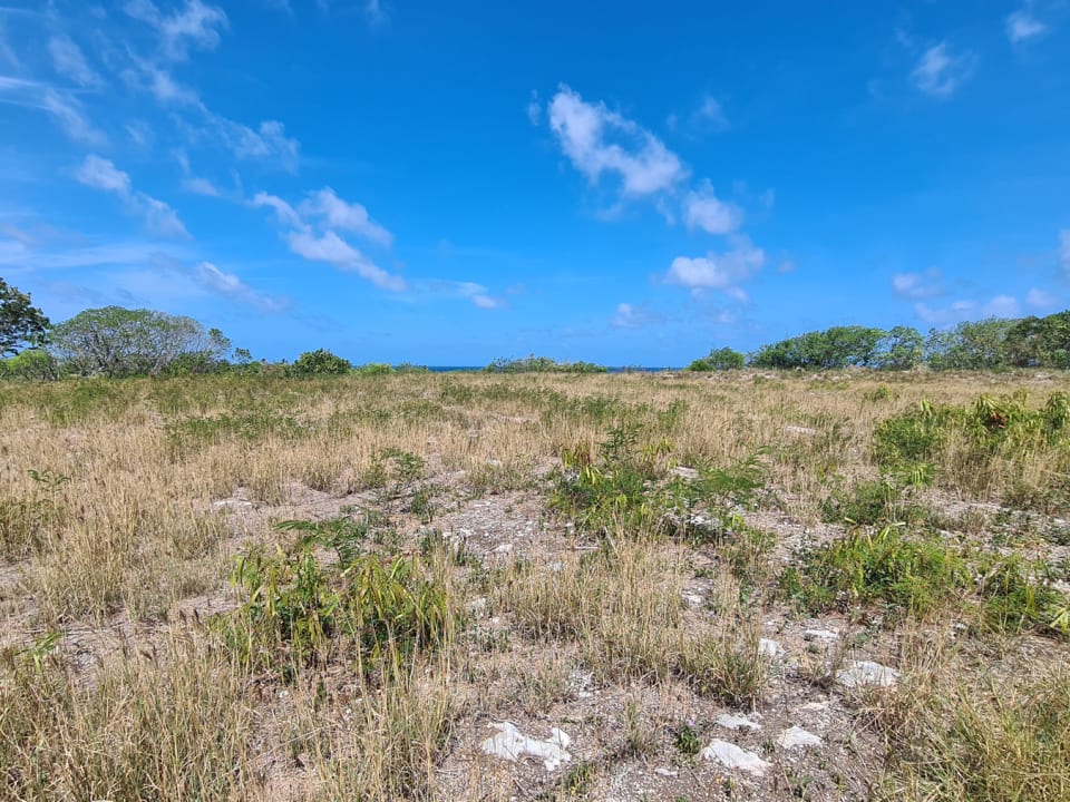 Large flat parcel of land facing the ocean