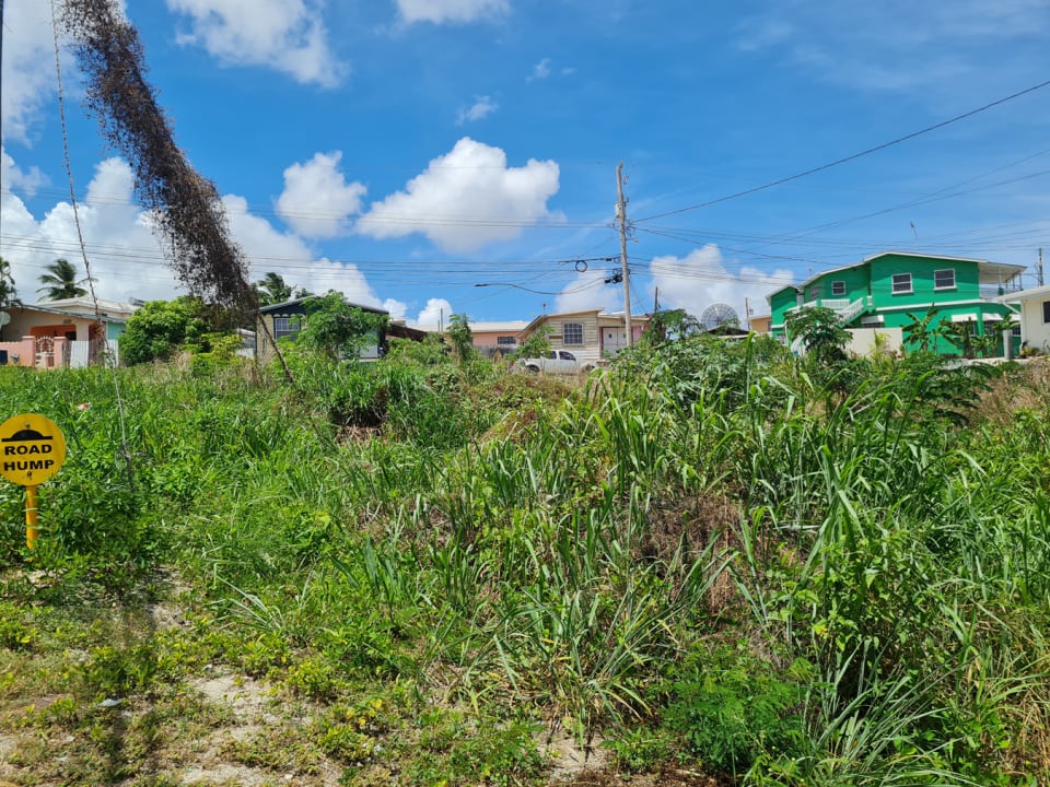 View of lot looking South