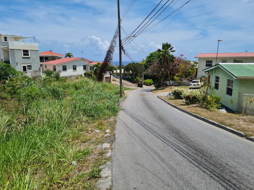 View along Western boundary and public road