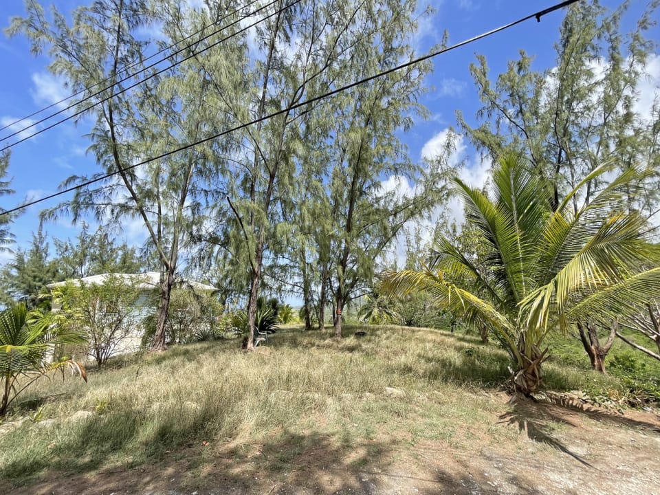 Lot facing east