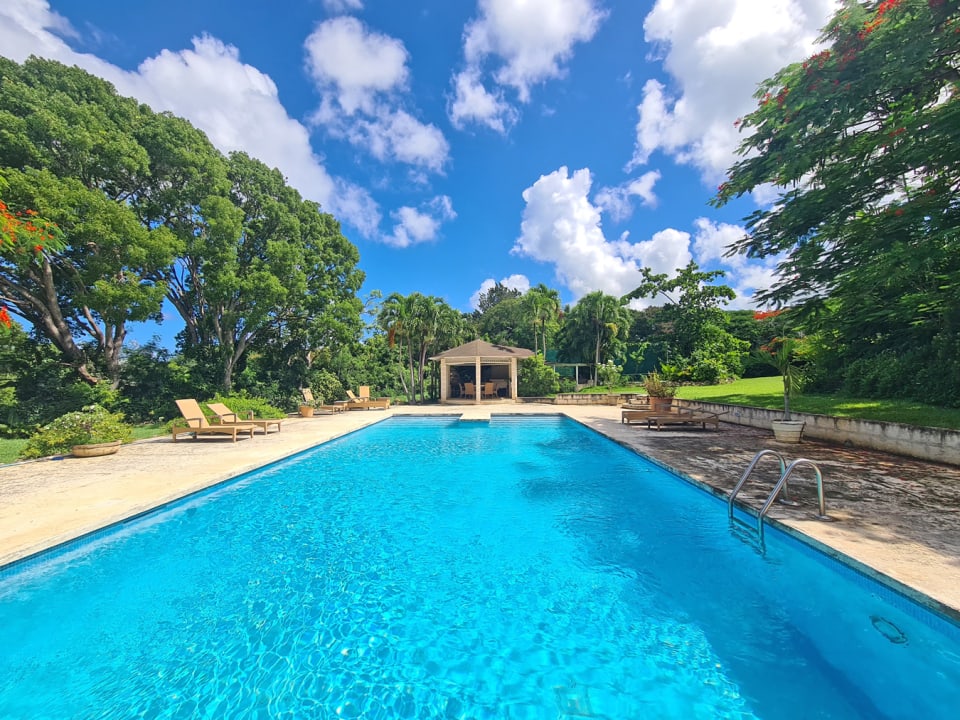 Stunning pool with gazebo