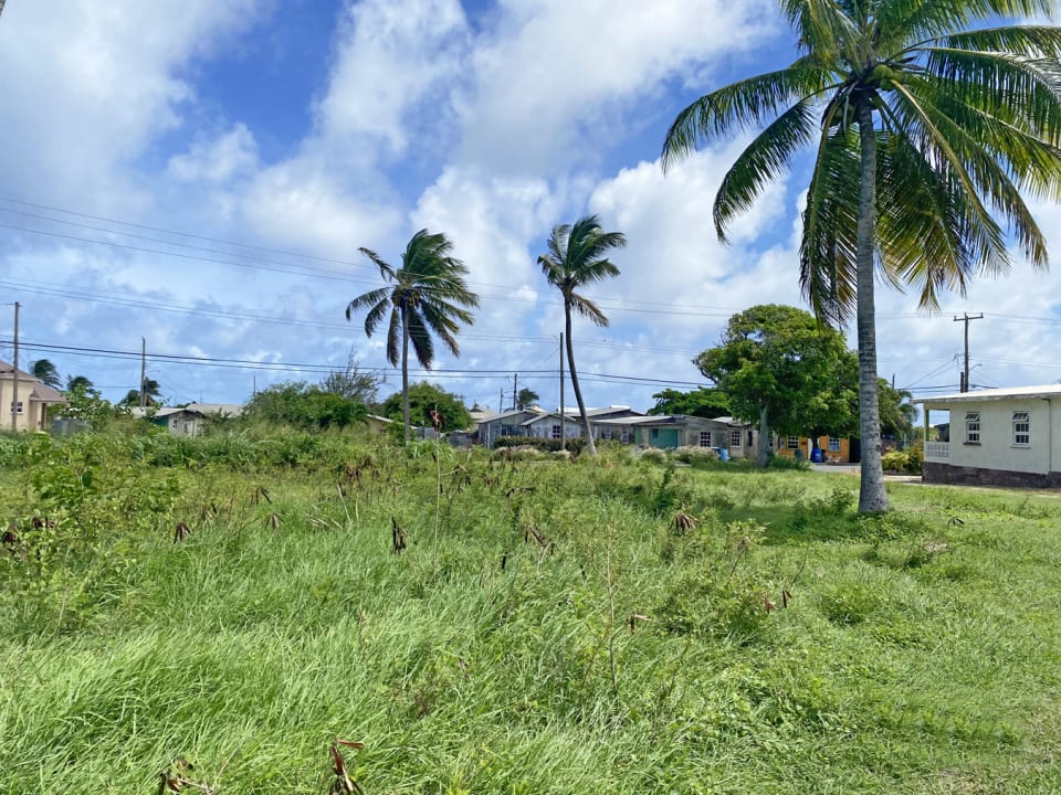 View Toward Neighbour on the West