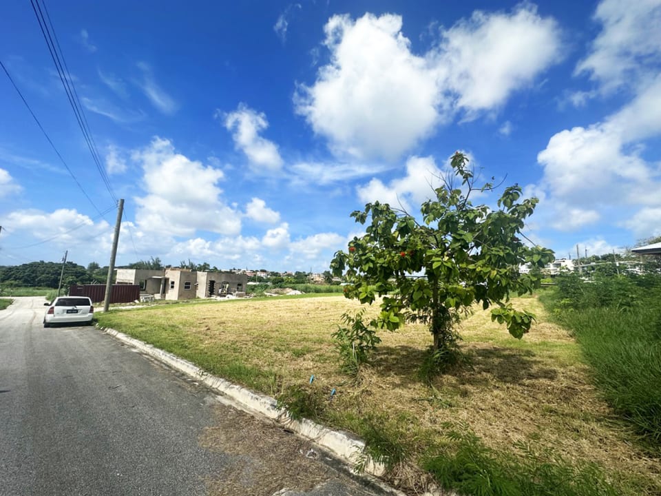 View of the lot from the street